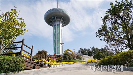 완도군, ‘청정완도 가을빛여행’ 국화전시회 개최