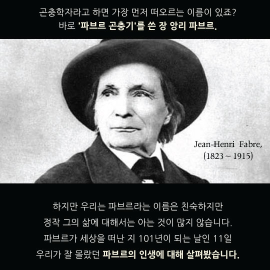 [카드뉴스]곤충학자 파브르는 비정규직이었다