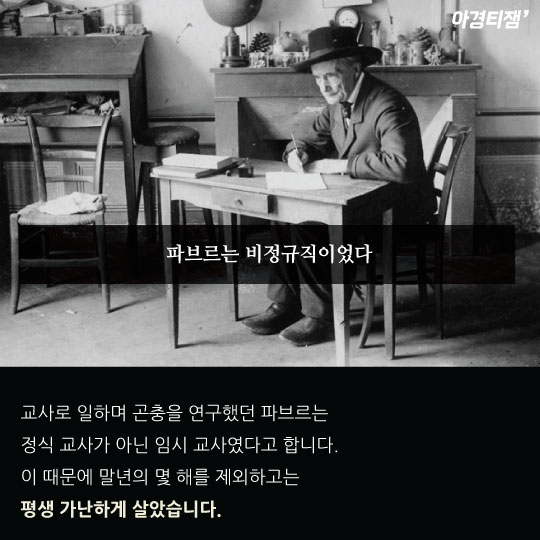 [카드뉴스]곤충학자 파브르는 비정규직이었다