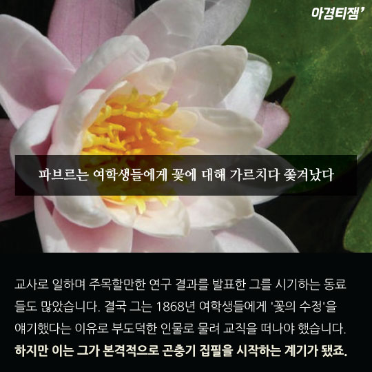 [카드뉴스]곤충학자 파브르는 비정규직이었다