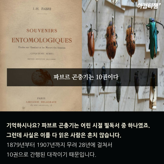 [카드뉴스]곤충학자 파브르는 비정규직이었다