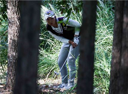 박지영이 하이트진로챔피언십 2라운드 경기 도중 숲 속에서 탈출하고 있다. 