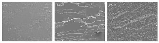 ▲퓨란계 폴리에스터의 파단면의 전자현미경 사진.[사진제공=카이스트]  
