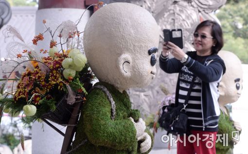 [포토]'국화 입은 동자승'
