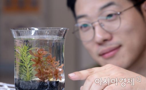 [포토]'신기하다'