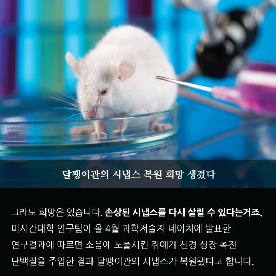 [카드뉴스] 주위 시끄러워 안들린다? 그거 '병'일지도