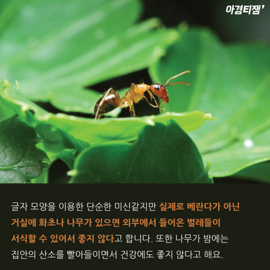 [카드뉴스]집안 공간배치가 행운 부른다?…'풍수인테리어' 각광