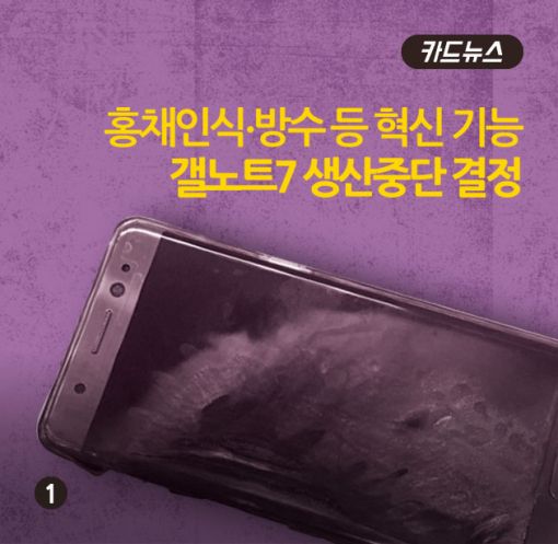 [카드뉴스]애플·LG전자株 '앉아서 콧노래'