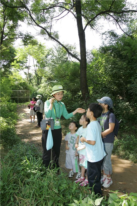 숲속여행 해설 