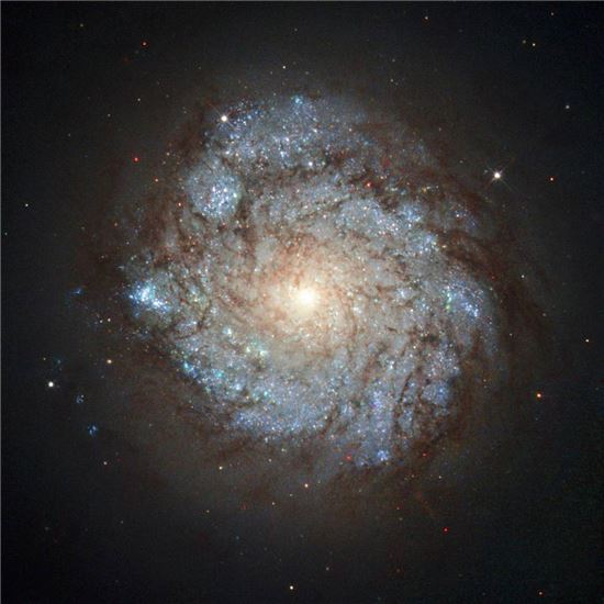 ▲카시오페이아 자리에 위치한 NGC 278.[사진제공=ESA/NASA]