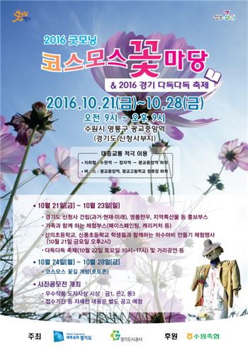 경기도 '2016 굿모닝 코스모스 꽃마당' 행사 포스터