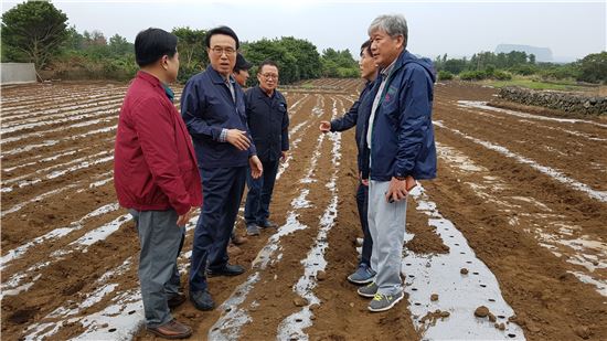 이상욱 농업경제대표(왼쪽 두번째)는 농협 관계자들과 15일 태풍 차바로 인한 제주지역 농업 피해 복구현장을 찾아 피해상황을 점검했다.