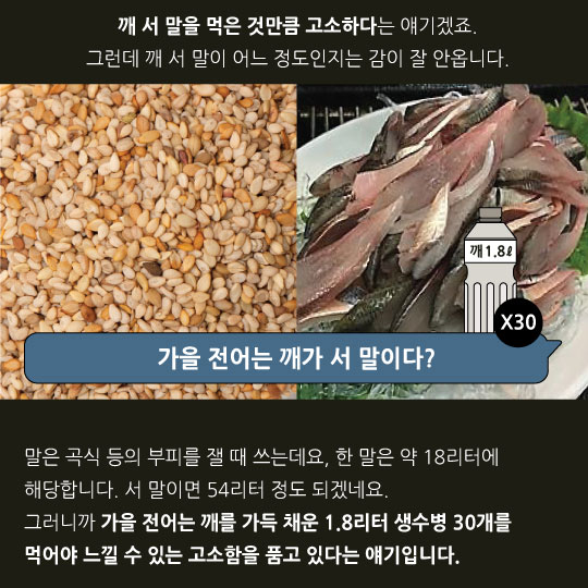 [카드뉴스]며느리 컴백시키는 전어 철이 돌아왔다