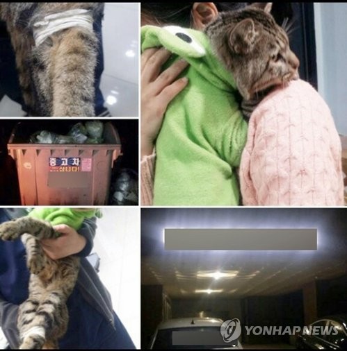천안 쓰레기봉투 고양이 사건은 '자작극'…최초 신고자가 범인