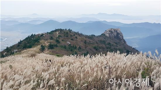 다도해 향해 손짓하는 장흥 천관산 억새