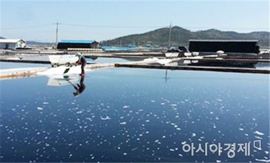 해수부, 전남도 신안 갯벌 천일염업 제4호 국가중요어업유산 지정