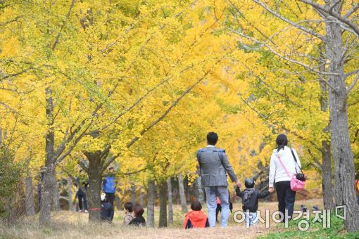 [포토]가을 속으로 