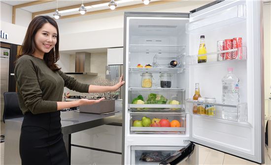 LG전자, 싱글가구 맞춤형 유럽 스타일 냉장고 출시