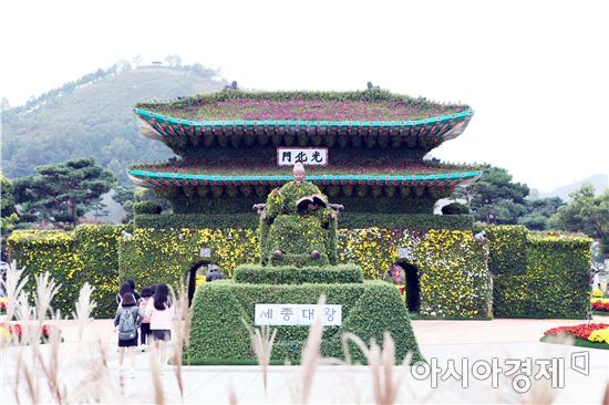 국화향기 그윽한  함평으로 오세요