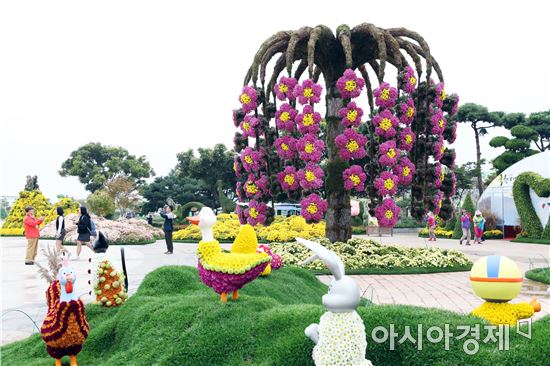 국화향기 그윽한  함평으로 오세요