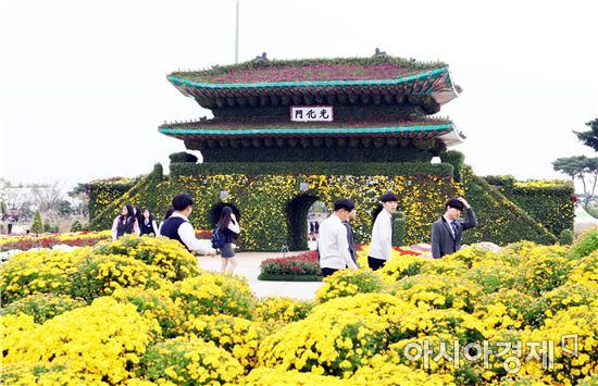 국화향기 그윽한  함평으로 오세요