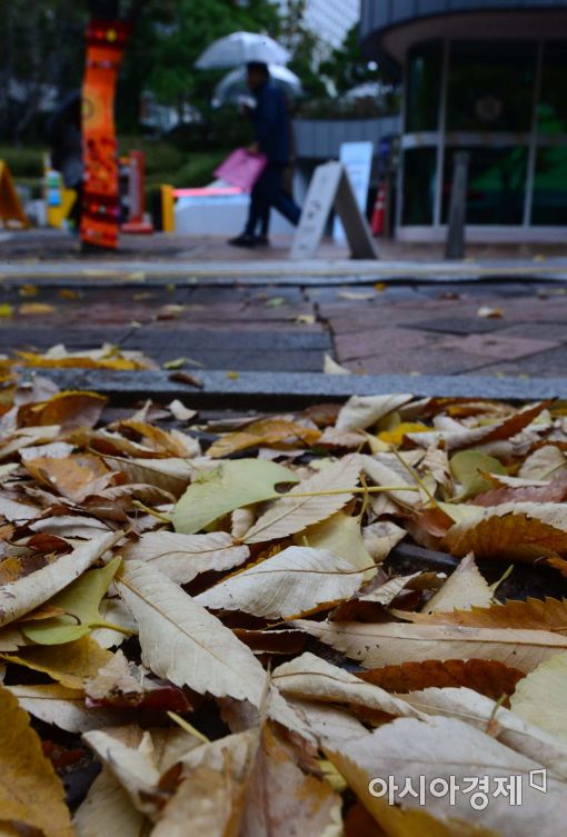[포토]'갑작스런 가을비' 