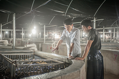전통방식 그대로 가마솥에 고은 유기농마루 고창 풍천장어즙