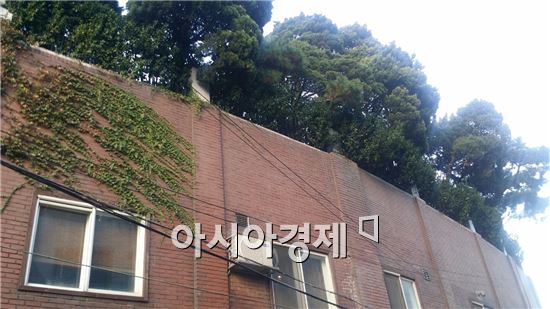 재키곽이 운영하는 라우드피그스와 숏컷필름은 고급 주택이 즐비한 서울시 용산구 이태원동에 있다.