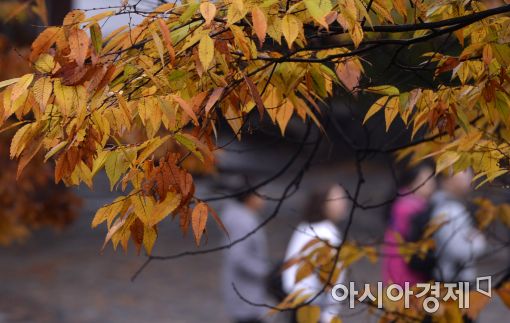 [오늘 날씨] 전국 선선한 가을 날씨…낮 최고기온 18~22도