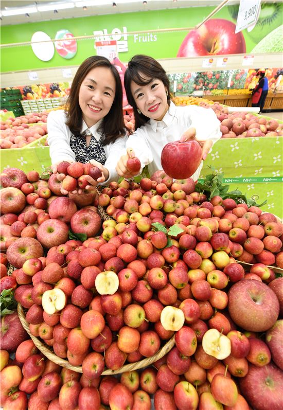 25일 서울 서초구 농협하나로마트 양재점에서 모델들이 한입에 먹을 수 있는 미니사과를 선보이고 있다. 