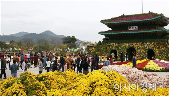 ‘천억송이 국화물결’함평 국향대전 큰 인기