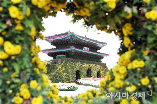 ‘천억송이 국화물결’함평 국향대전 큰 인기