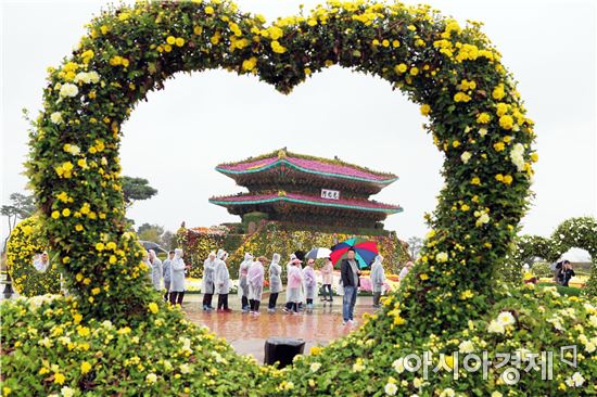 [포토]가을비속에 함평국화축제장 관람객 북적