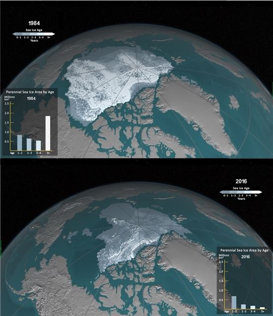 ▲북극의 다년생 해빙(하얗게 그림자 진 부분)이 갈수록 줄어들고 있는 것으로 나타났다.[사진제공=NASA]