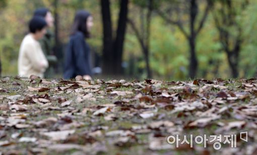 [포토]겨울 같은 가을