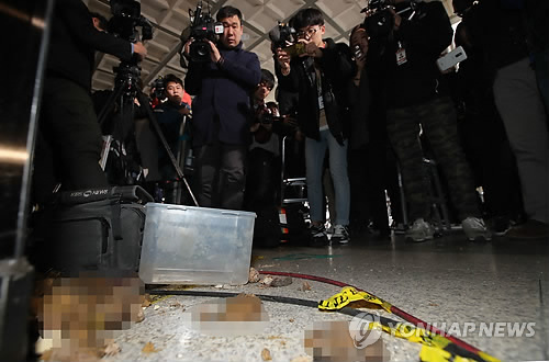 "시간 왜 끄냐"…'최순실 출석' 검찰청사에 오물 투척한 40대 남성 체포