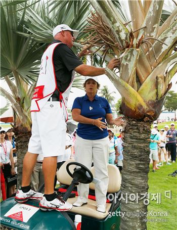 [재미있는 골프규칙] "공이 야자수에 박히면?"