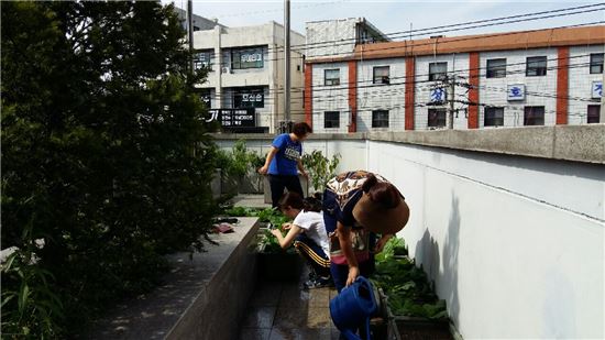 옥상텃밭 뽐내기대회 작품 