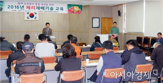 곡성군, 틈새 공략!‘체리’재배 경쟁력 확인