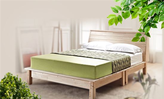 에코홈, 중년부부 위한 '꽃보다 유로탑' 매트리스 세일