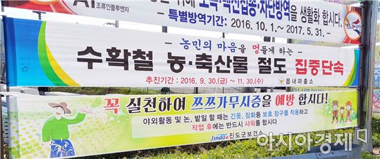 진도군, 가을철 나들이 불청객 '쯔쯔가무시증' 주의 당부