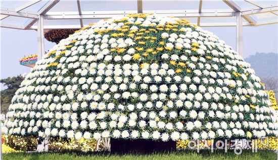 [포토]가을향기 가득한 함평국향대전 관광객 인산인해