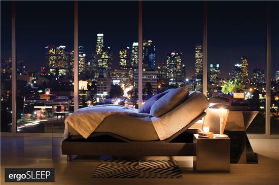 '웰슬리핑족', 모션베드 시장 급성장 이끌다