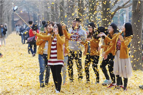 남이섬에 '송파은행길' 있다