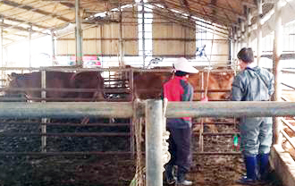 김제시 검산동, 하반기 소 구제역 일제접종 나서