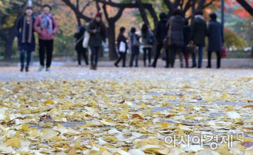 [포토]낙엽 밟는 즐거움