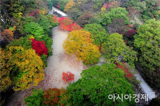 가을, 순창 강천의 붉은 단풍 유혹 절정