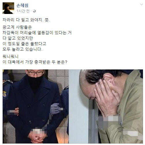 손혜원, 차은택 ‘외모비하’ 지적에 “가발까지 벗겨야 되나, 마음 아팠다”