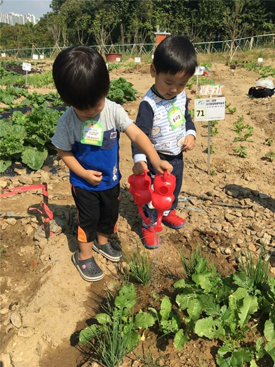 강감찬 텃밭 도시농업 