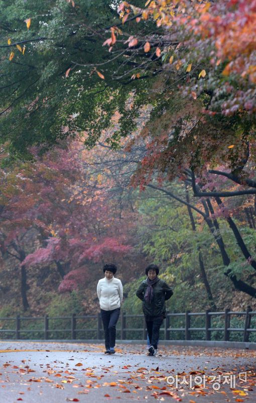 [포토]가을비 그치고